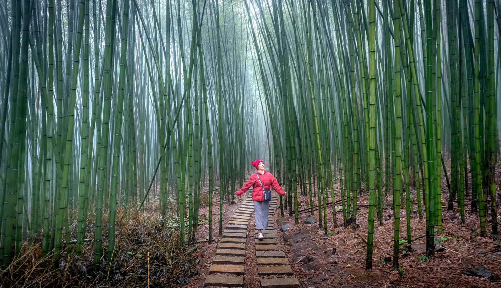 Woman strolling in a misty bamboo forest, embracing nature and tranquility