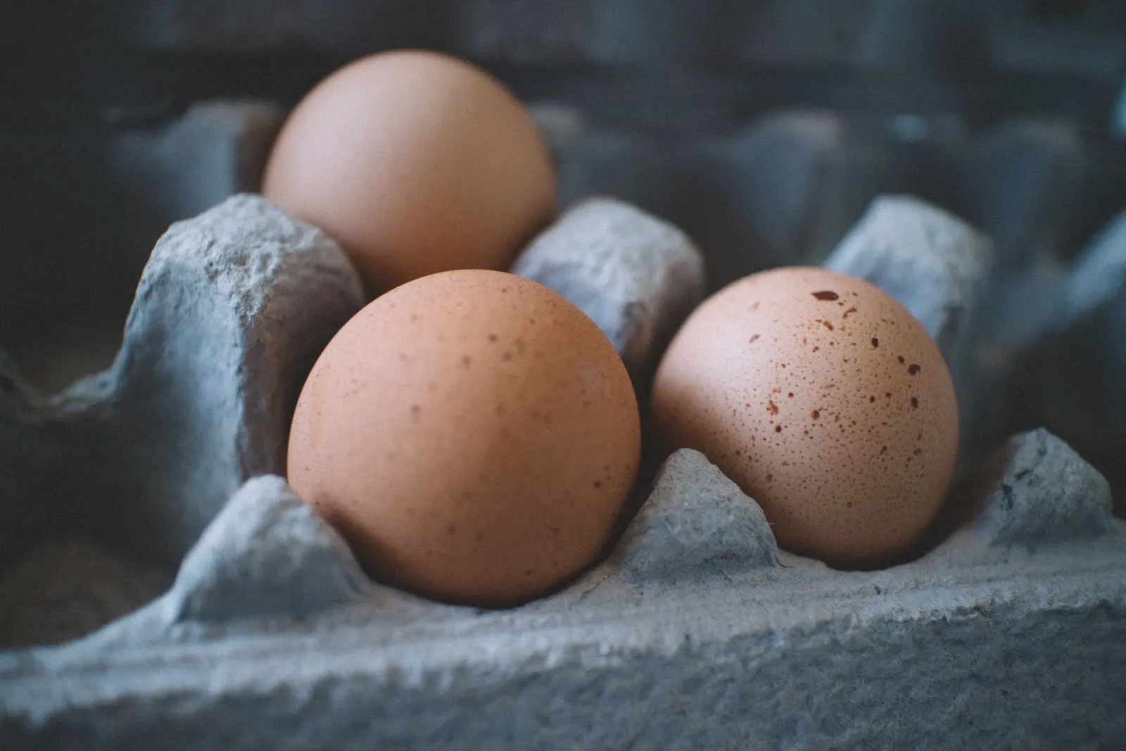 Three fresh brown eggs resting in a cardboard tray, lit softly from the side